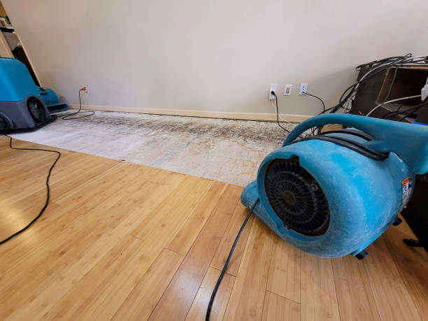 Professional Sewage Cleanup technician working in New Holstein, WI